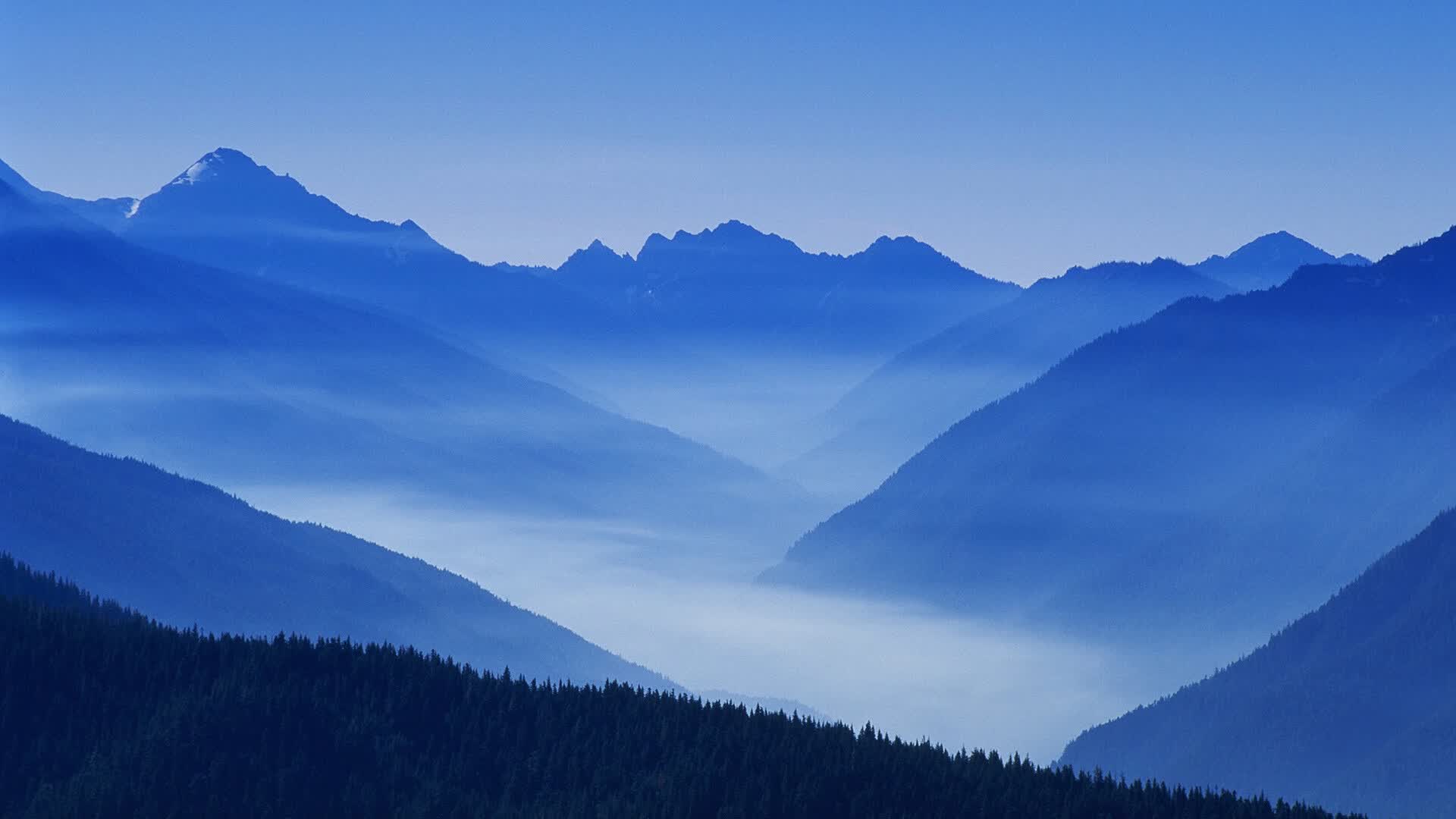 世界拳击青少年训练营医务小组值班表与应急响应流程最终版发布